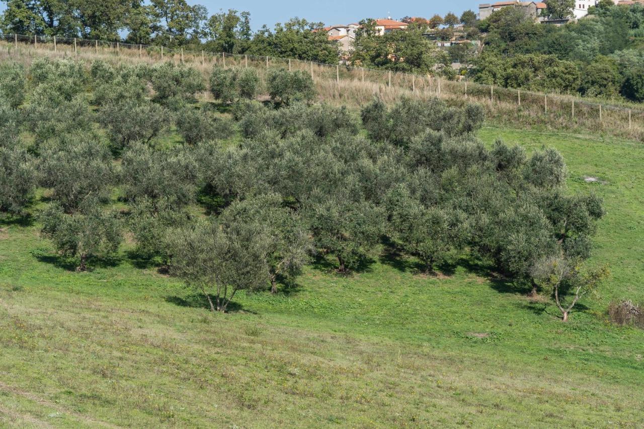 Agriturismo Bella Cima Montefiascone Extérieur photo